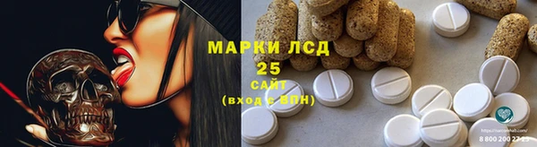 прущие крисы Аркадак