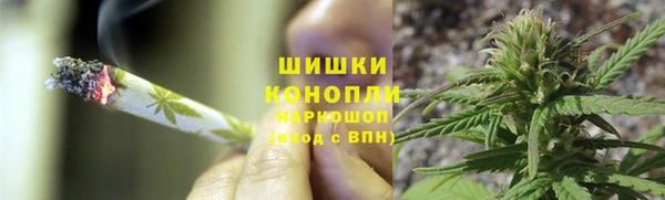 гидра Арсеньев
