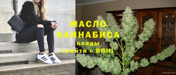 гидра Арсеньев