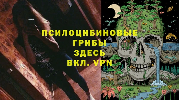 амф Алексеевка
