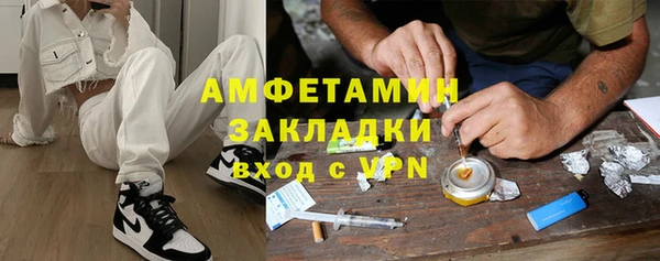 гидра Арсеньев