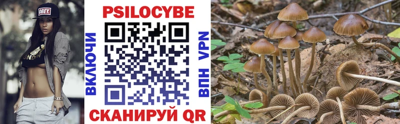 продажа наркотиков  Таруса  Галлюциногенные грибы мухоморы 